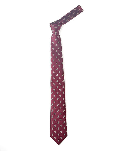 Elegance Men's Ties - Fashion Neck Ties for Weddings and Business