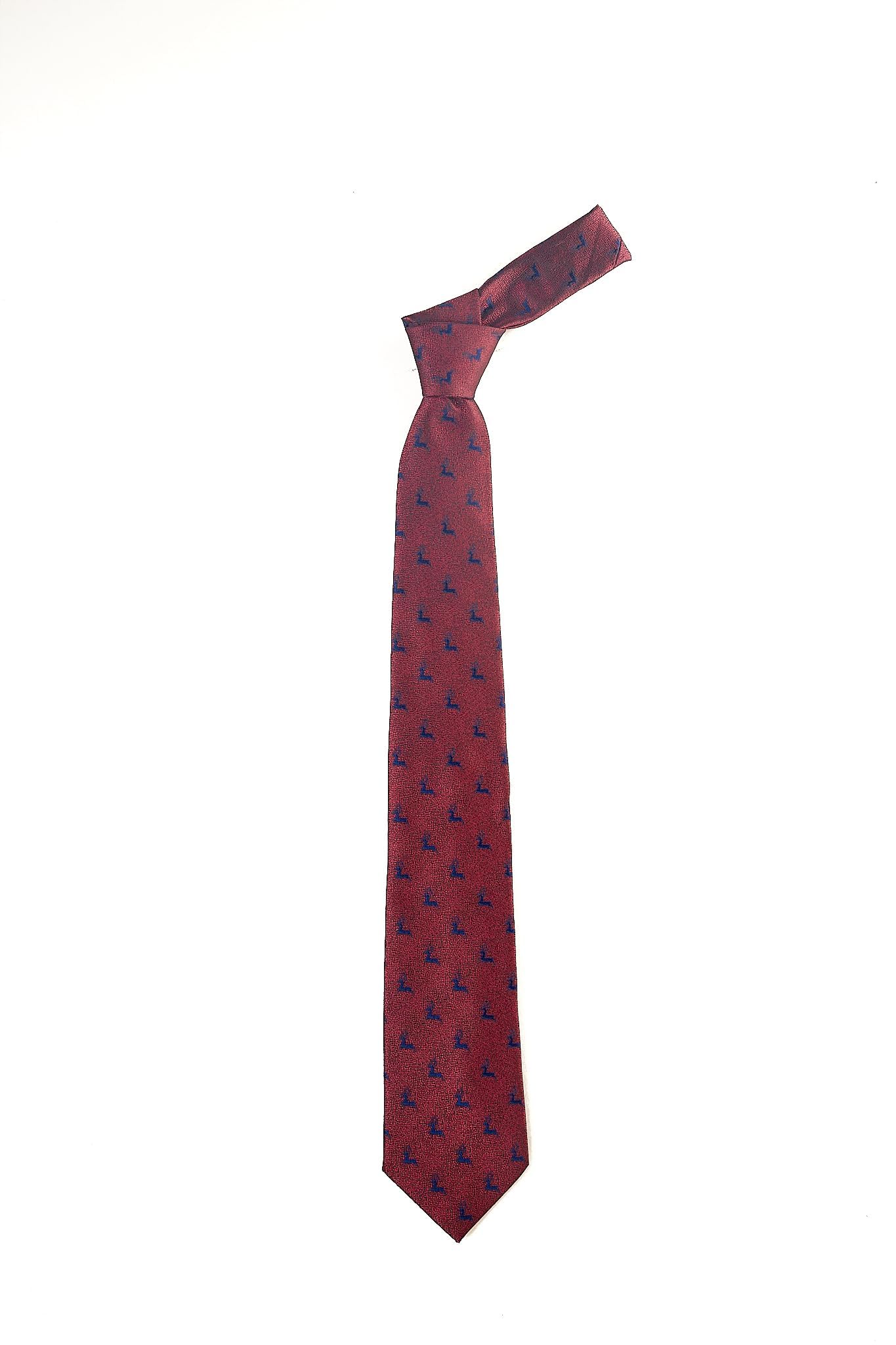 Elegance Men's Ties - Fashion Neck Ties for Weddings and Business