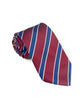 Elegance Men's Ties - Fashion Neck Ties for Weddings and Business